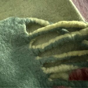Long Green Felted Wool Scarf